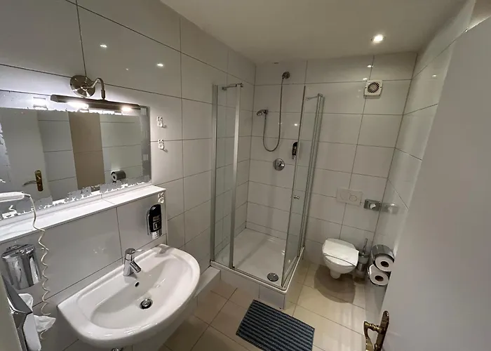 Hotel Ento Hotelwestend 5*