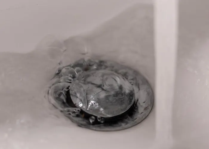 Hotel Ento Hotelwestend 5*