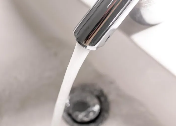 Ento Hotelwestend Hotel Frankfurt am Main