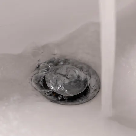 فندق Ento Hotelwestend 5*